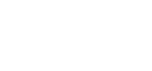 Logo von brigitta camenzind. erweiterte kinesiologie.